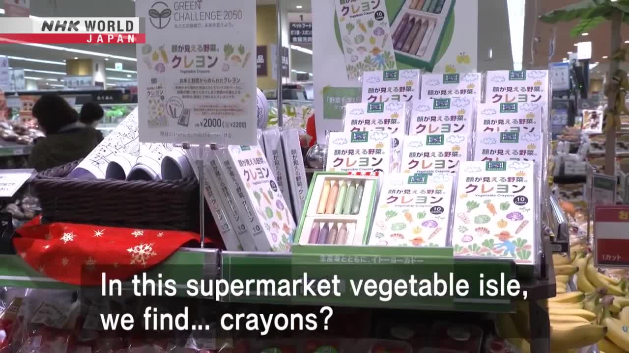 VEGETABLE VALUES: Drawing From Nature - Dig More Japan