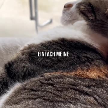 Affiliate Marketing Case Studies: Real-Life Examples of Success l WFH UNIVERSITY