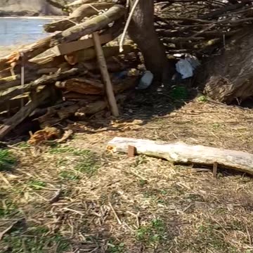 Little shack built in 5 hours