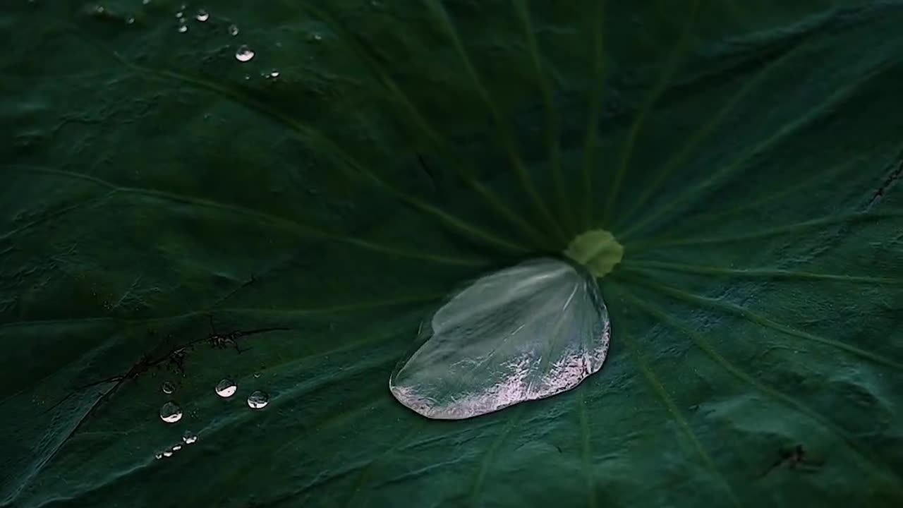 Thirsty Nature