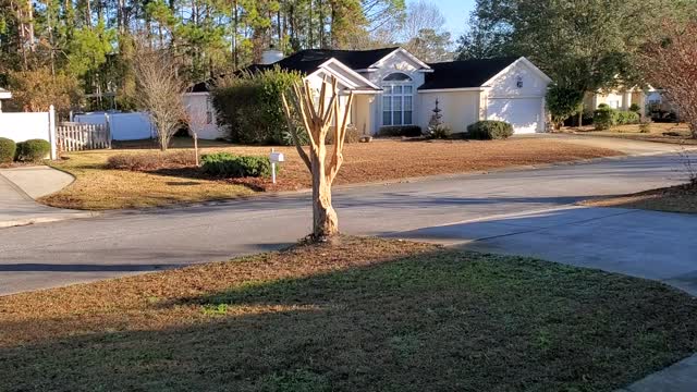 What's up "Saturday Morning"