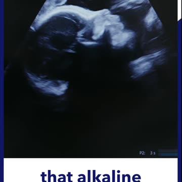 Where do we get our energy from?