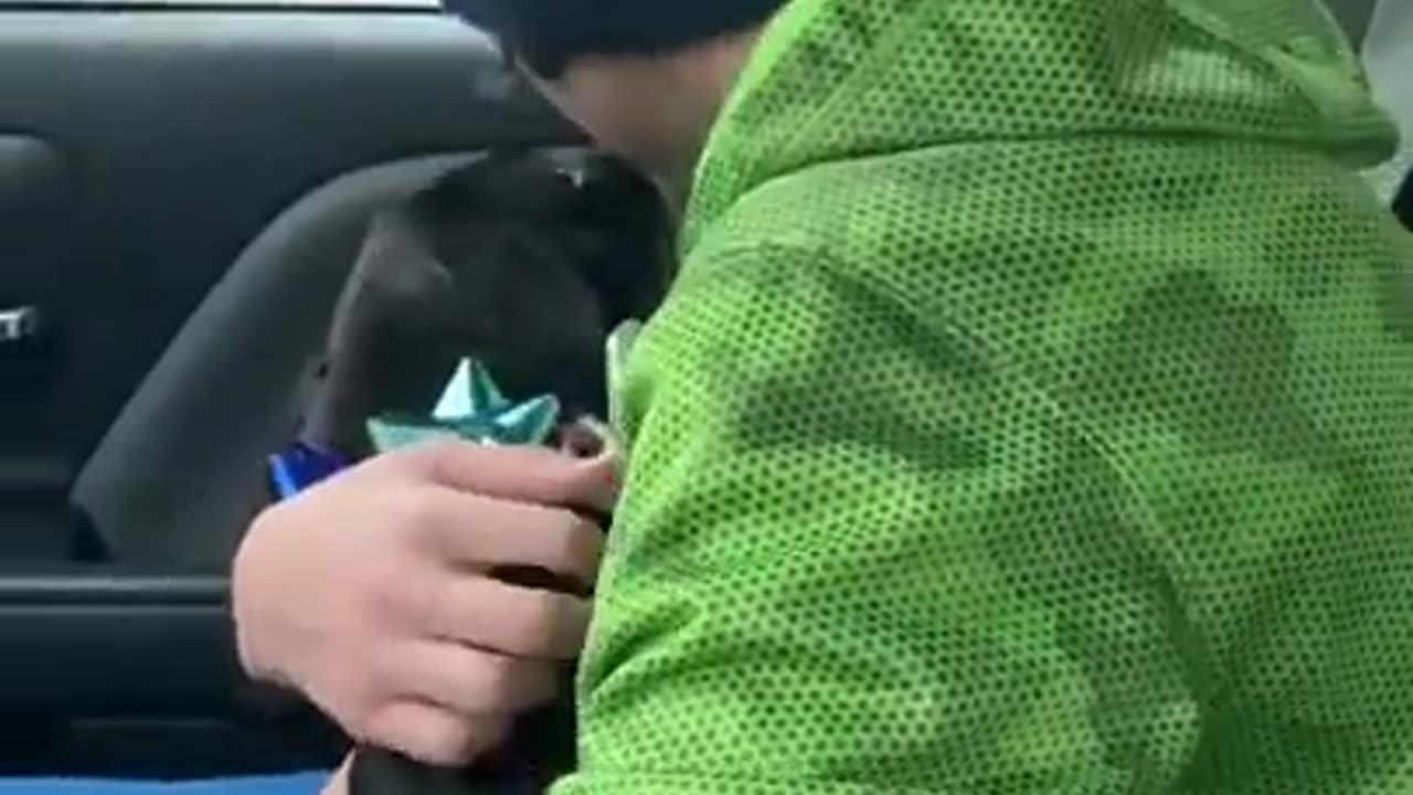 Boy reunited with lost dog