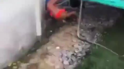 BITCH ATE SHIT HELLA HARD