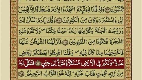 Quran 1 para with urdu translation «part 20»