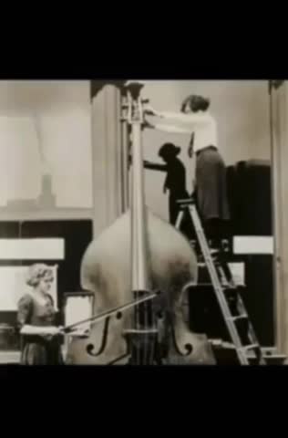 Believe In Giants? | 🐇Nephillim