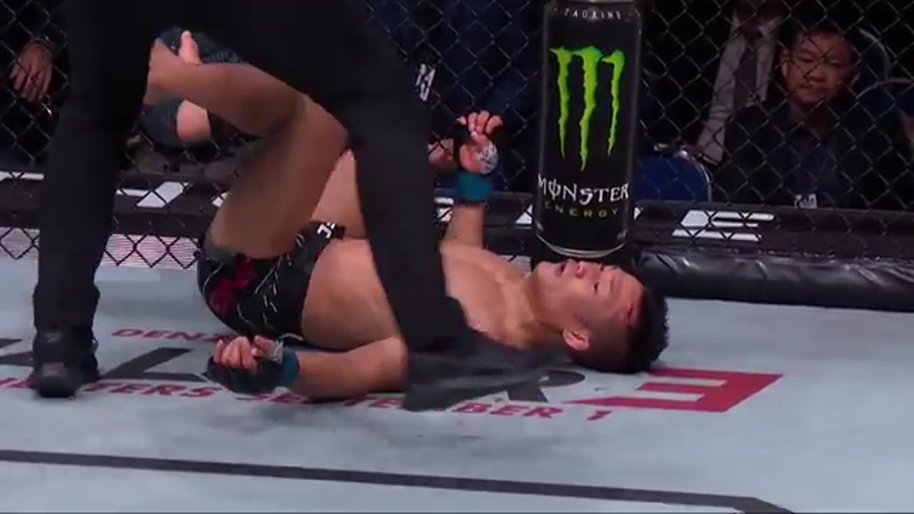 FINISH FIGH | Ilia Topuria vs Max Holloway | UFC