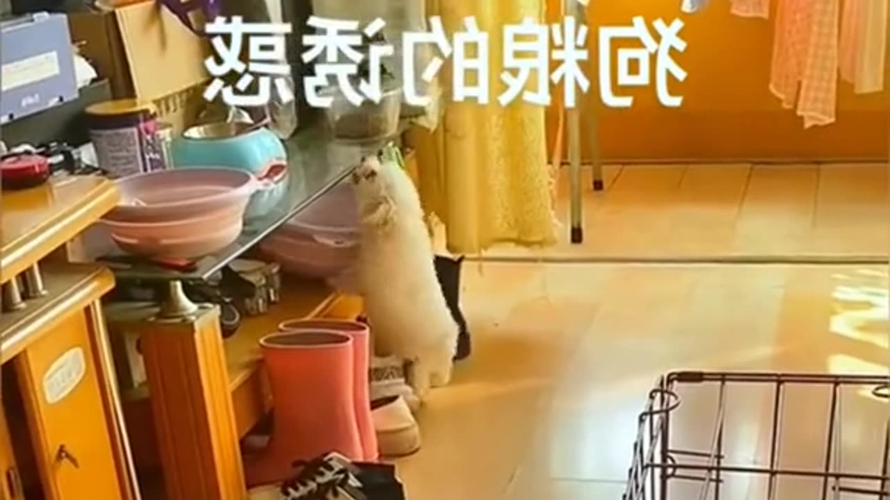 Funny