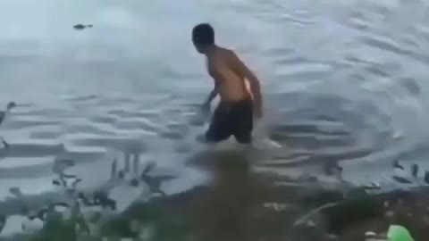 This is a beautiful and charming water-dwelling species