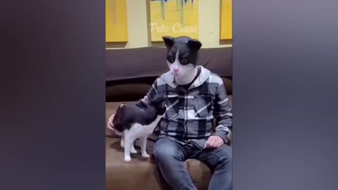 New trending animal's funniest cat and dog 🐶🐕 video