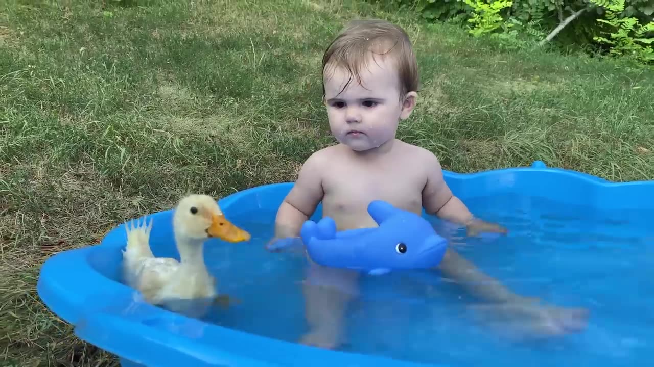 Funny Baby Reaction to Duckling in the Pool