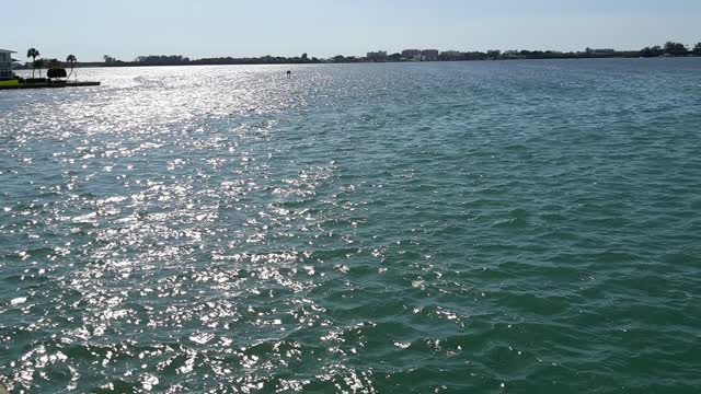 Mahamantra in Sarasota