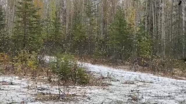 Kimber R7 Mako First Shots 😶‍🌫️❄️LWRoad9999 Solo Alaska Range Day-Wish I was in Atlanta with Chuke!😭