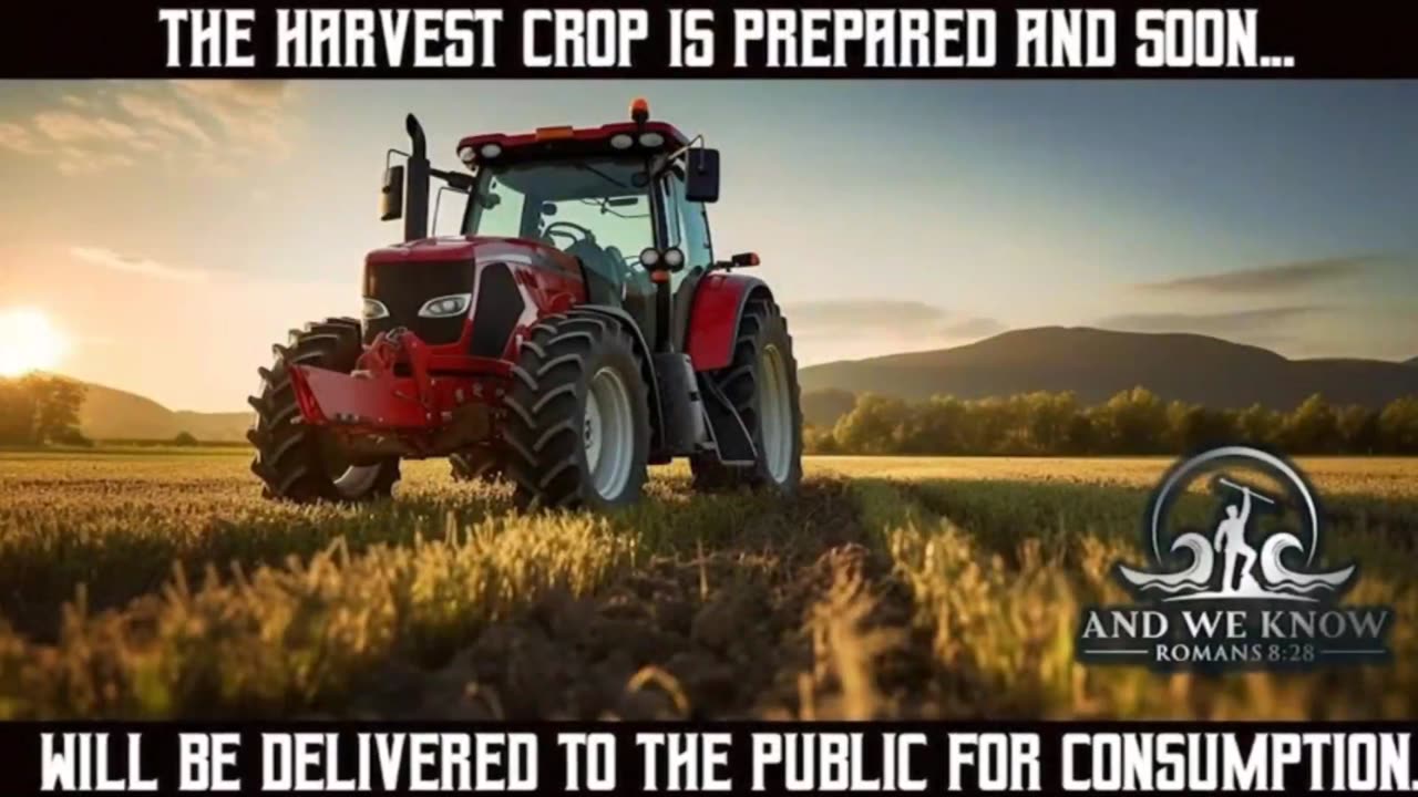 Stupid should Hurt more