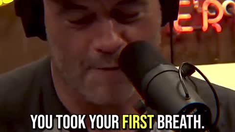 David Goggins really has a way with words 🤣 💪🏼