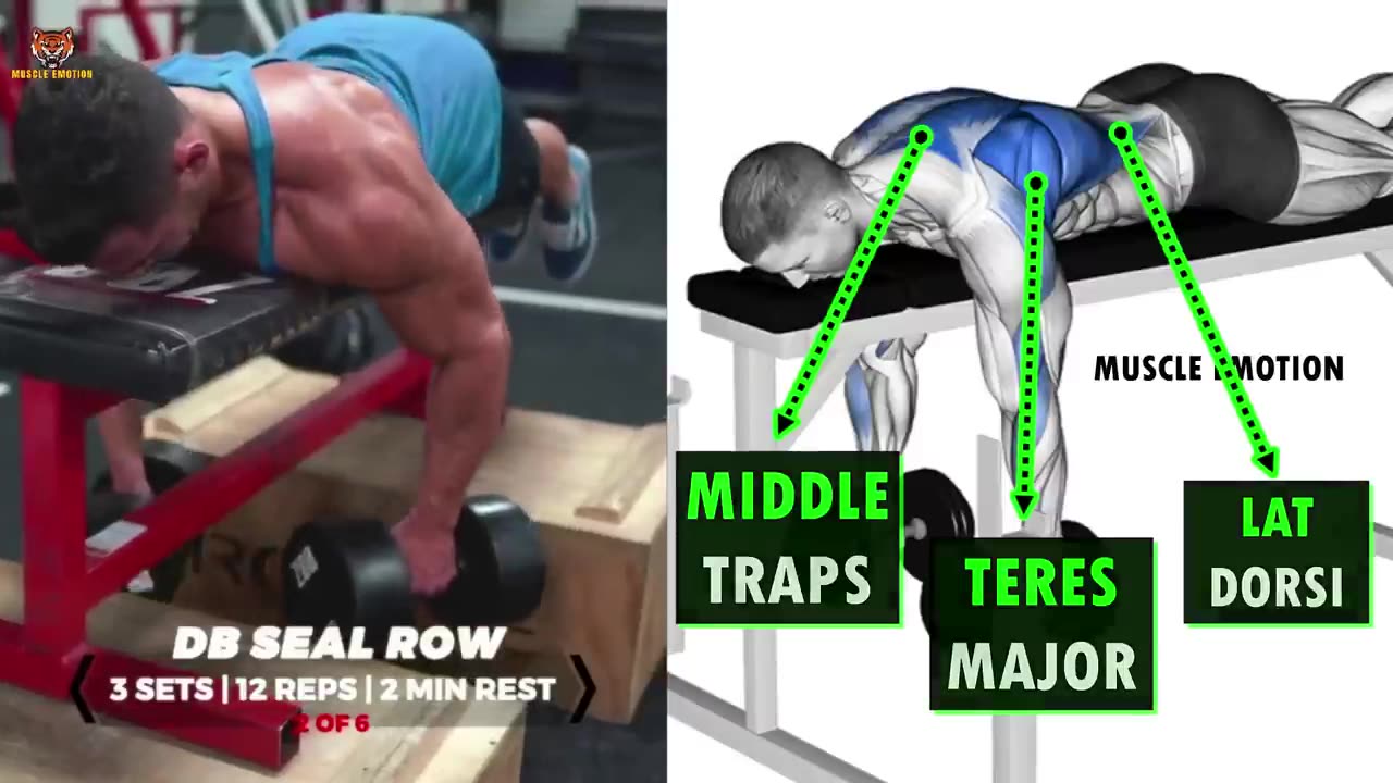 37 Best Back Exercises to get Bigger your back