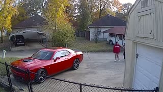 Dog Removed From Behind Fence