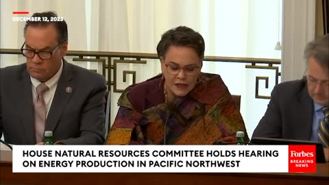 'Let's Compare The Congo And The US'_ Harriet Hageman Presses Experts On Outsourcing Energy