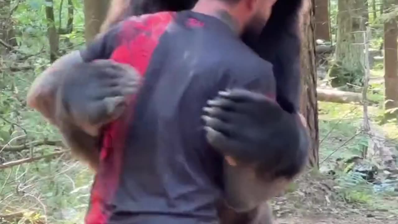 Man Playfully Wrestles A Bear
