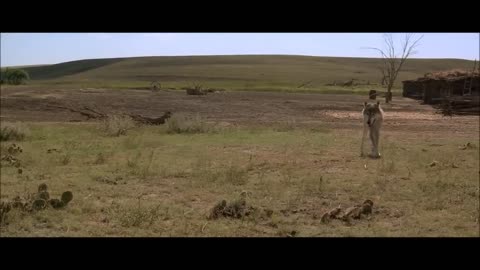 Two Socks Dances with Wolves scene