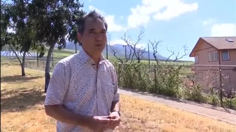 Over 1,000 Maui Fire Survivors Suing Schools, State, and Utility Companies Responsible for Tragedy