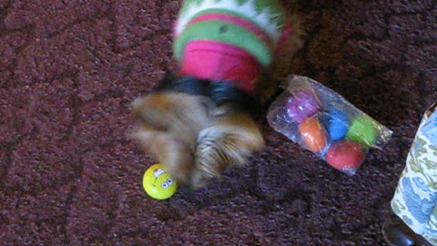 Sammy's Toys