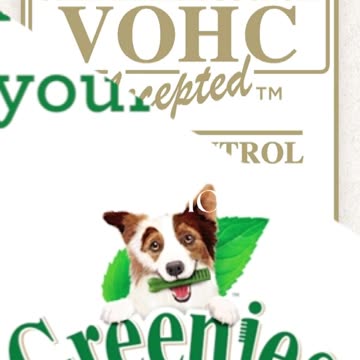 Greenies Original Petite Natural Dental Care Dog Treats, 36 oz. Pack (60 Treats)
