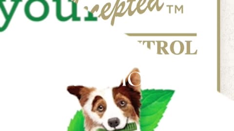 Greenies Original Petite Natural Dental Care Dog Treats, 36 oz. Pack (60 Treats)