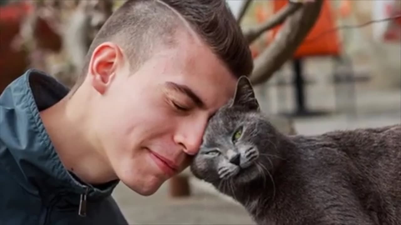 10 ways that shows your cat loves you