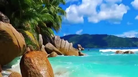 Paradise in the seychelles