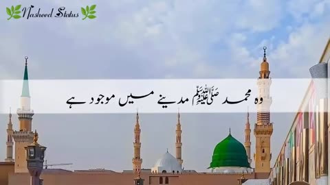 Wo Muhammad Madiny mey mojod hain