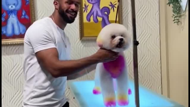 When a guest sees his dog like this
