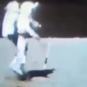 Sbarcati sulla luna?