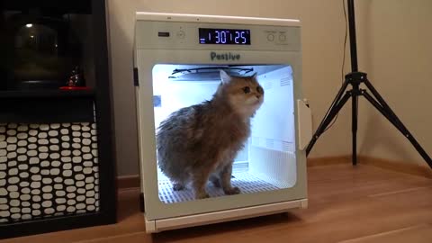 Fast drying with Peslive