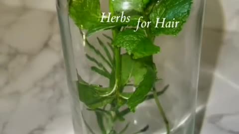 Want to achieve healthy long hair?