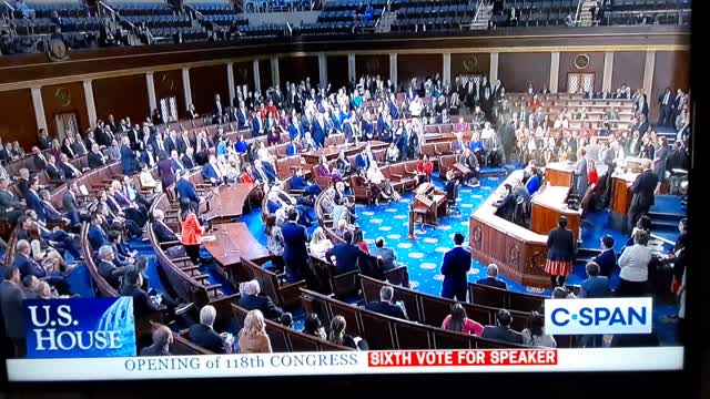 How exactly did the ayes have it?