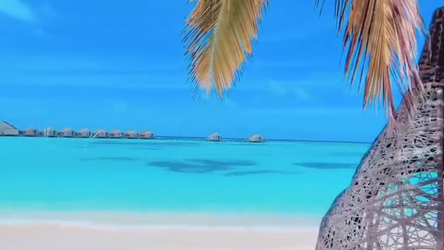 swing on the tree is cool 😍👍