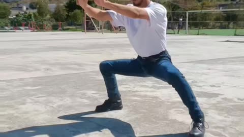 Wushu Kung Fu