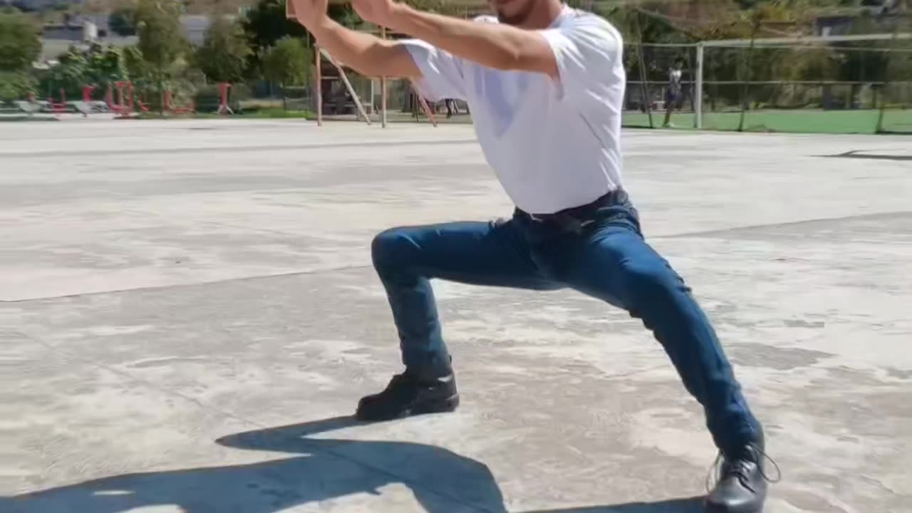 Wushu Kung Fu