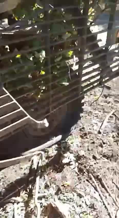 🇺🇦Another padded armored car Mastiff of British origin in the Armed Forces of Ukraine