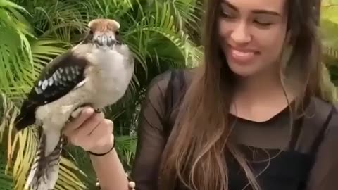 Funny bird