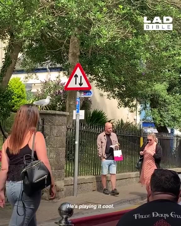 These effin' seagulls coming into our country