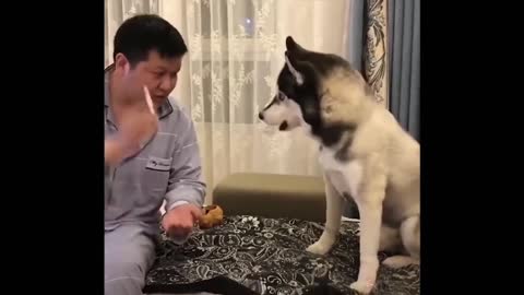THE DOG