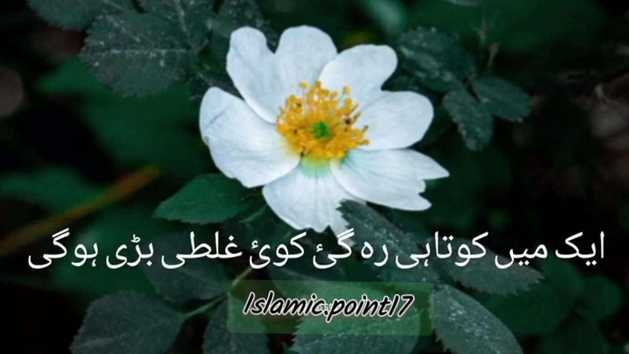 نبی پاک صلی اللہ علیہ وسلم نے فرمایا دو دوست اکٹھے 👆#religion #islamicstatus #youtubeshorts #islam