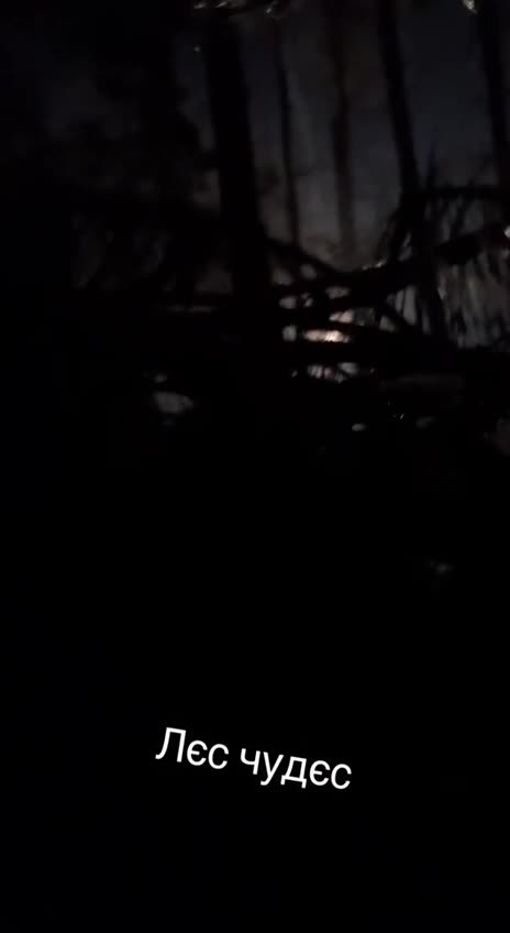 It looks like a night fight in the forest.