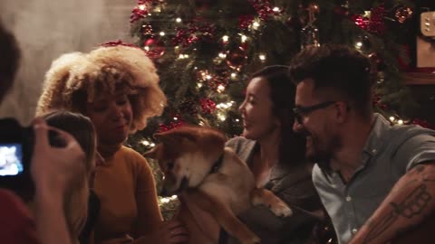 Recording Video Footage Of A Group Of People Admiring A Pet Dog