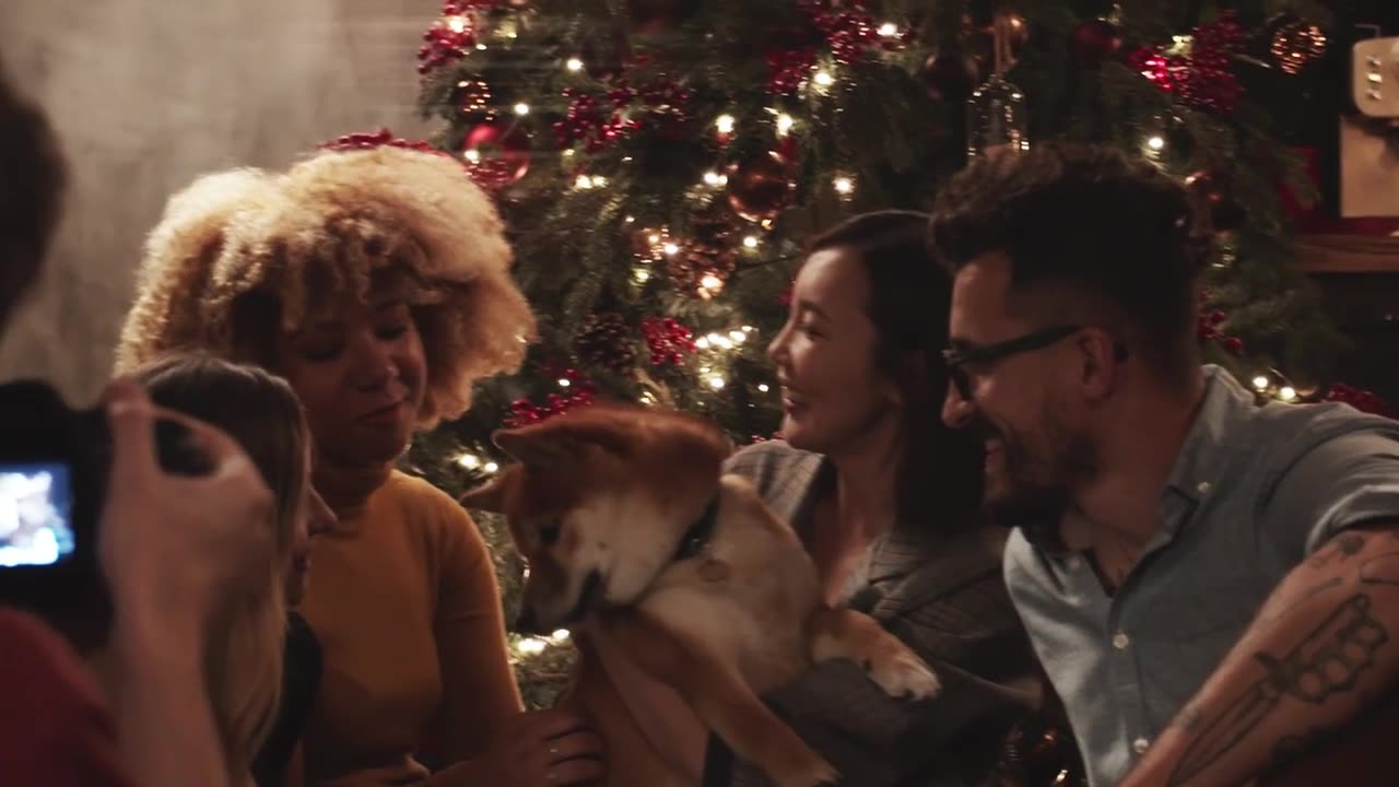 Recording Video Footage Of A Group Of People Admiring A Pet Dog