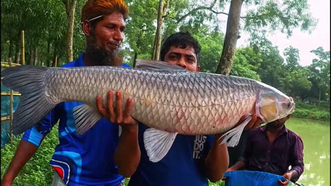 Amazing Big Fish #shorts #fish #fishing