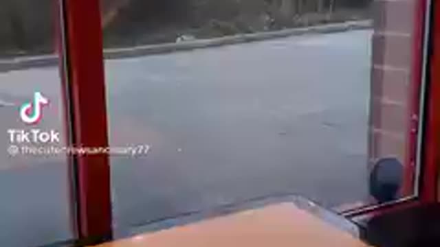 There are great people still