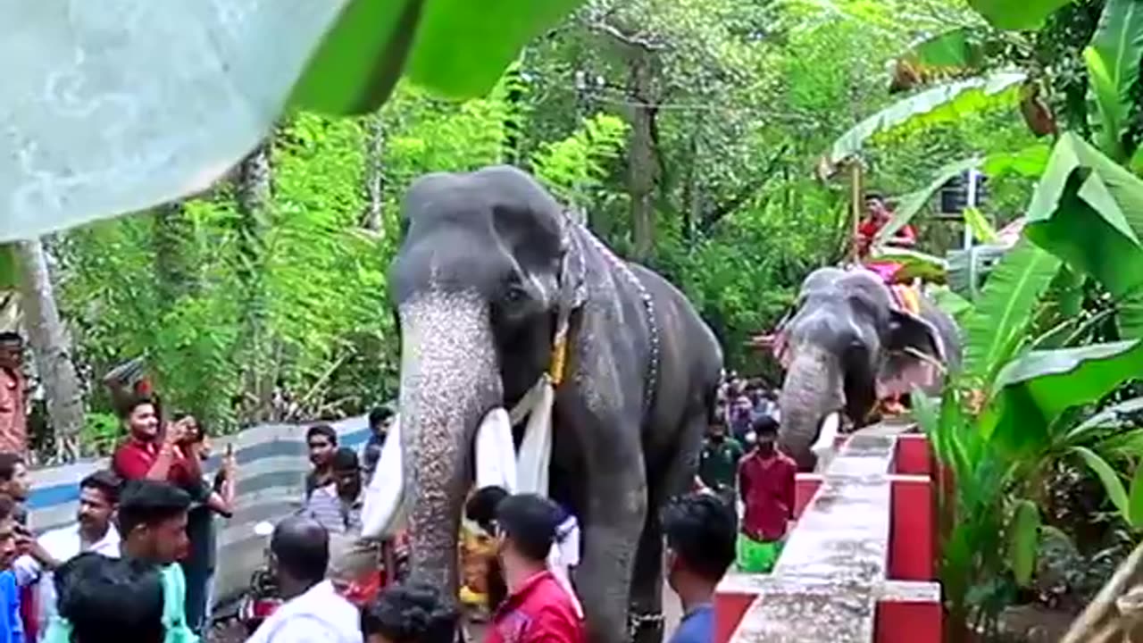 Mangalamkunnu Karnan